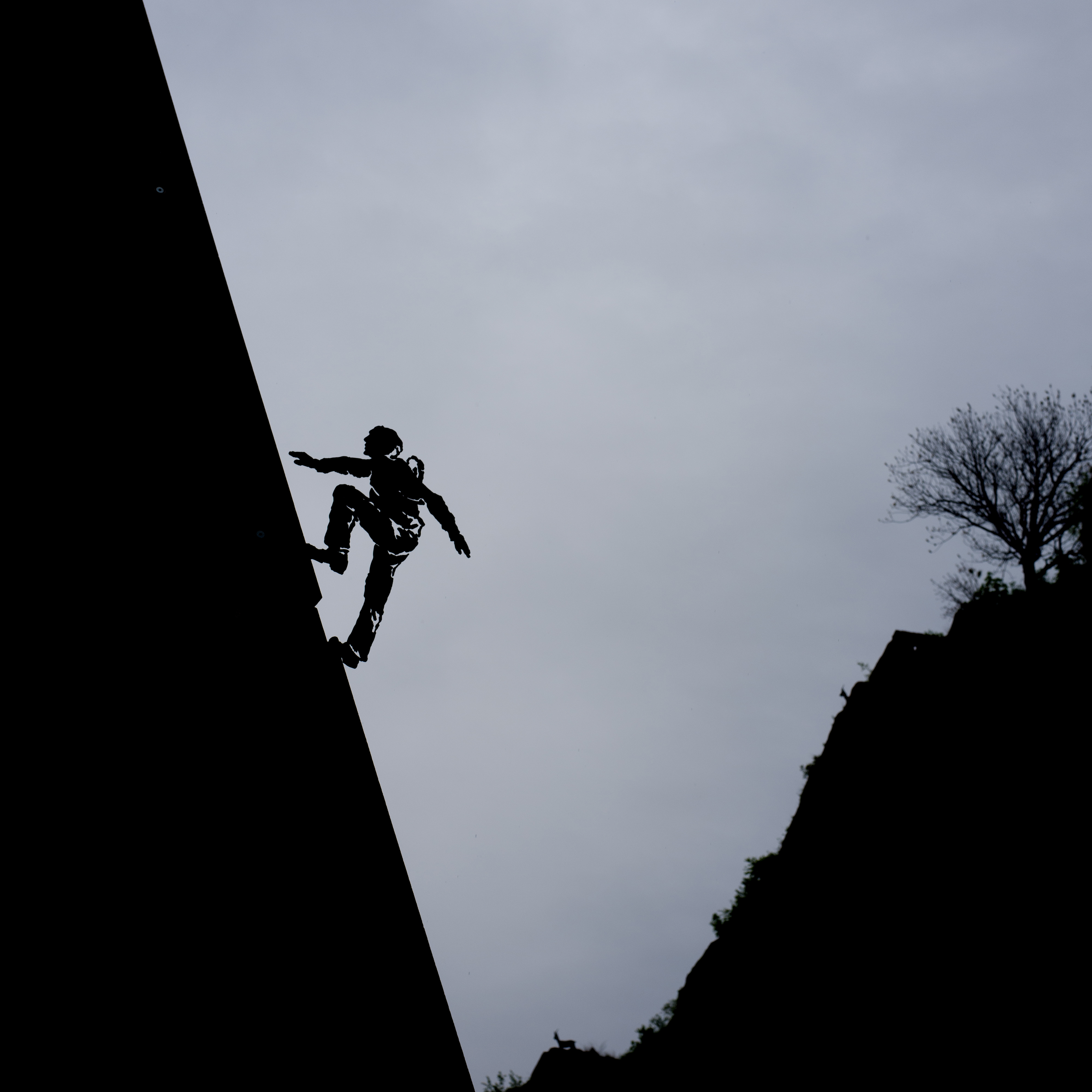 Bergsetiger klettert Steilen Berg hoch