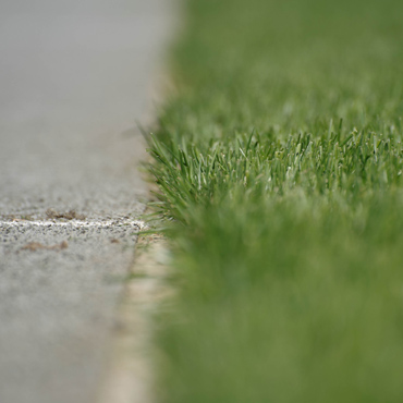 Der Blick zurück versus Greenfield Ansatz