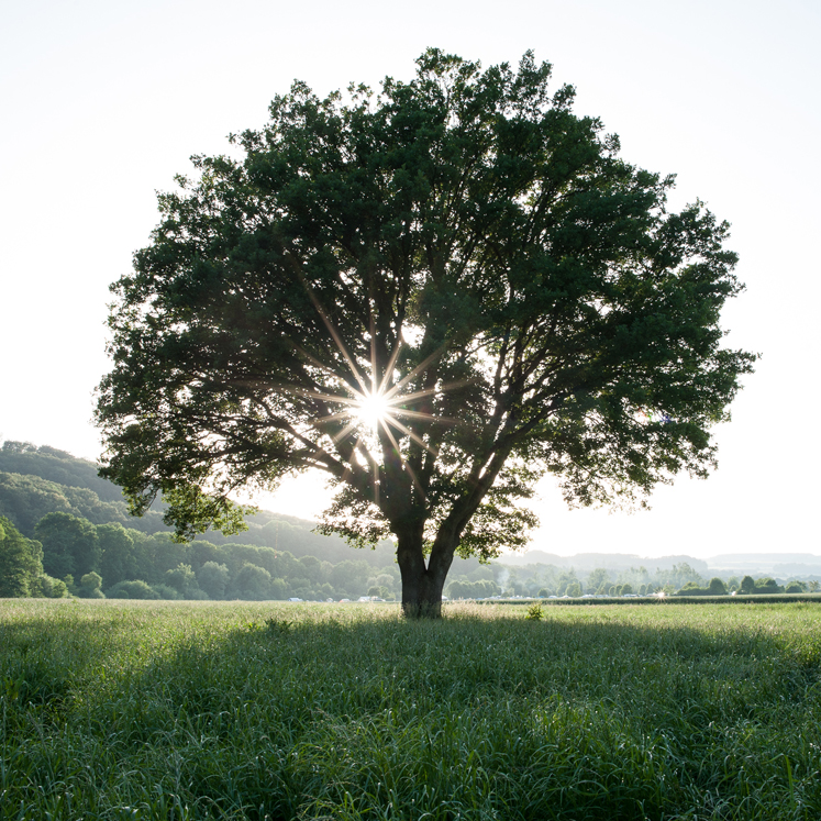 Analoge Methoden und Outdoortraining