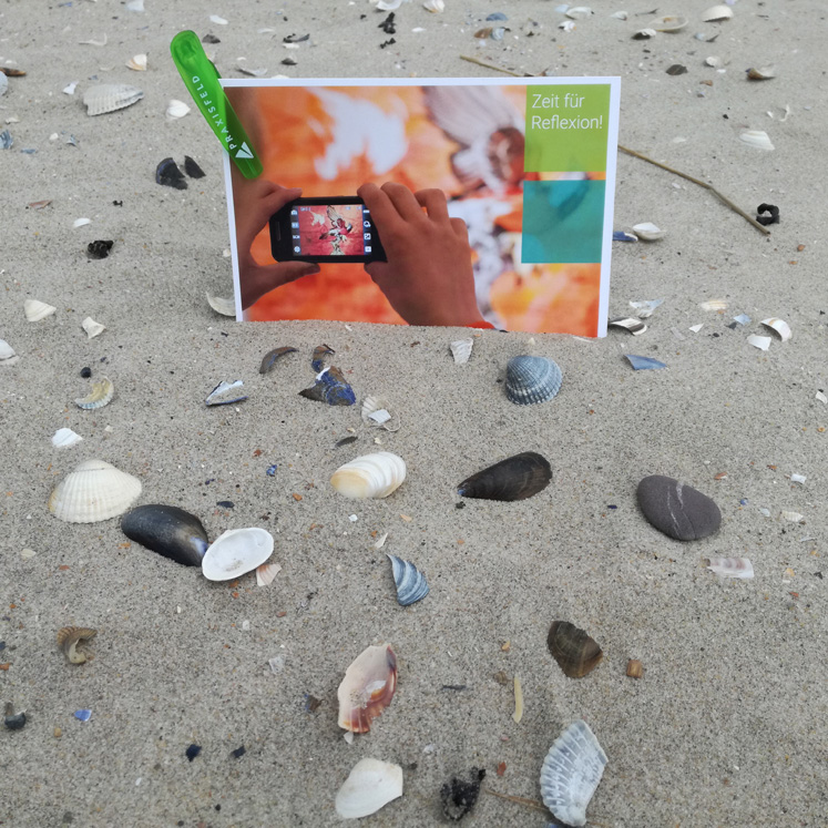 Verschiedene Muscheln und Steine liegen im Sand, während im Hintergrund eine Person ein Smartphone-Foto macht.