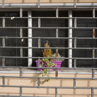 Ein Fenster mit vergittertem Metallrahmen, dahinter ein lila Blumentopf mit vertrockneten und grünen Pflanzen