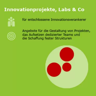 Infografik mit Text: Design Thinking Innovationsprojekte, Labs &amp; Co für entschlossene Innovationsverankerer. Ein Angebot für die Gestaltung von Projekten, das Aufsetzen dedizierter Teams und die Schaffung fester Strukturen.