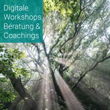Digitale Workshopmoderation, Beratung und Business Coaching