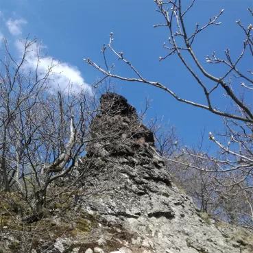 Mit diesen Kunden hat PRAXISFELD schon gearbeitet