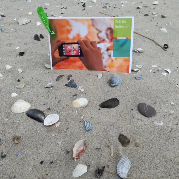 Verschiedene Muscheln und Steine liegen im Sand, während im Hintergrund eine Person ein Smartphone-Foto macht.