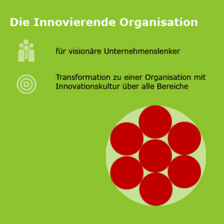 Infografik mit Text: Design Thinking für die Innovierende Organisation und für visionäre Unternehmenslenker. Transformation zu einer Organisation mit Innovationskultur über alle Bereiche.
