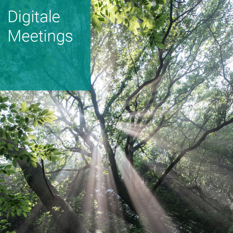 Digitale Meetings und Besprechungen gemeinsam gestalten und durchführen