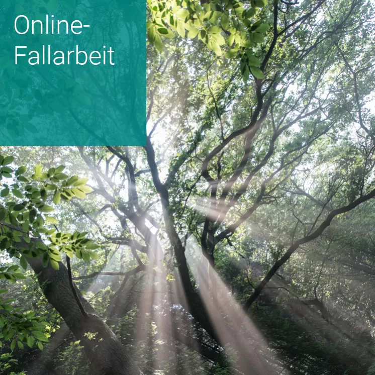 Online Fallarbeit und Fallberatung